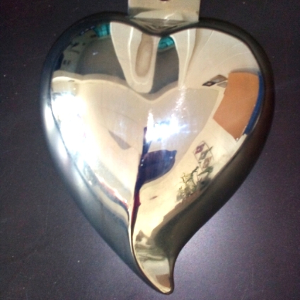 Chrome Horn Cover